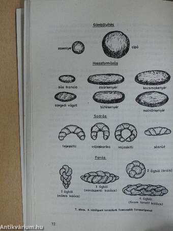 Sütőipari technológia II.