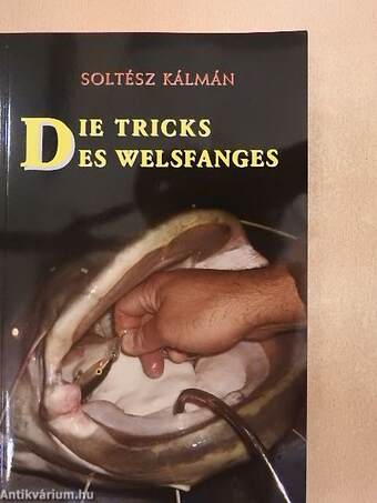 Die Tricks Des Welsfanges