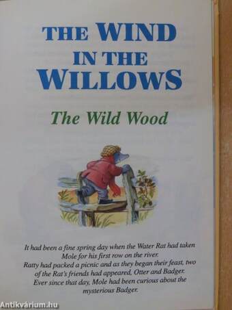 The wind in the willows - The Wild Wood