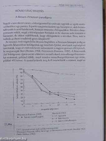 Az emberi emlékezet