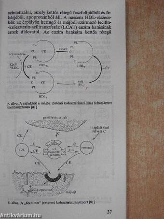 Atherosclerosis