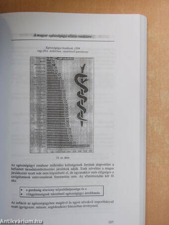 Közösségi egészségügyi ellátás elmélete és módszertana