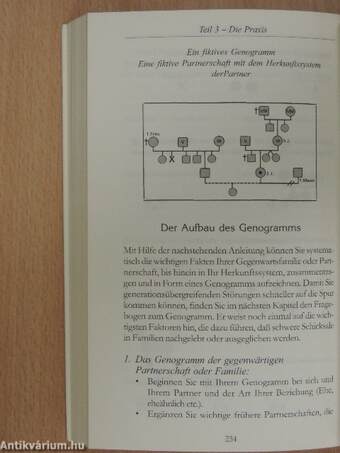 Systemische Paar-Aufstellungen