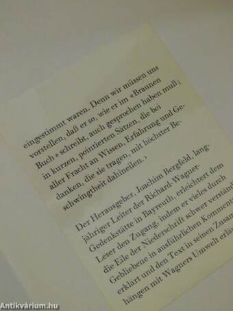 Das Braune Buch