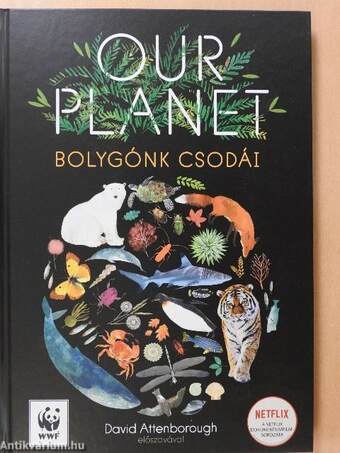 Our Planet - Bolygónk csodái