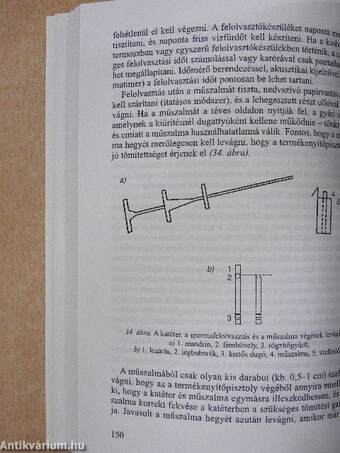 A szarvasmarha mesterséges termékenyítése