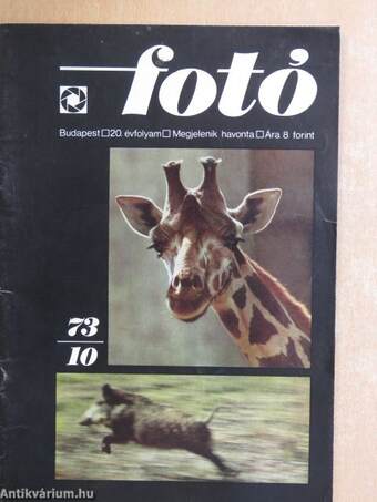 Fotó 1973. október