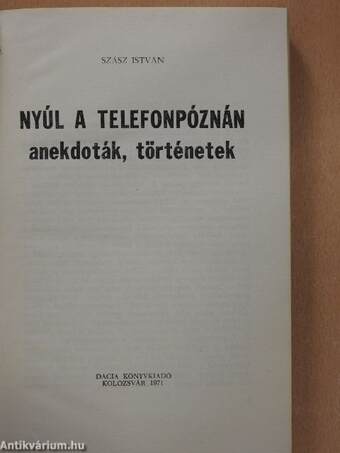 Nyúl a telefonpóznán