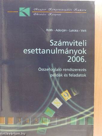 Számviteli esettanulmányok 2006.