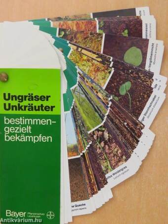 Ungräser Unkräuter