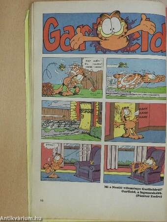 Garfield 1993/5. május