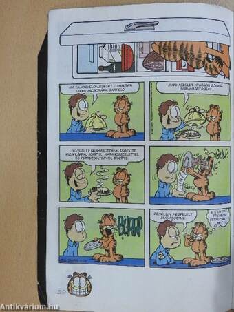 Garfield 1998/1.