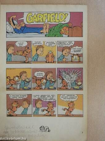 Garfield 1991/8.