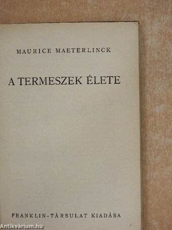 A termeszek élete