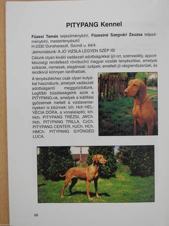 A magyar vizsla (dedikált példány)