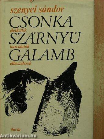 Csonka szárnyú galamb