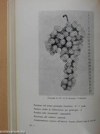 Annuario della Stazione Enologica Sperimentale di Asti - Serie 11 Volume VII - Anni 1964-1966