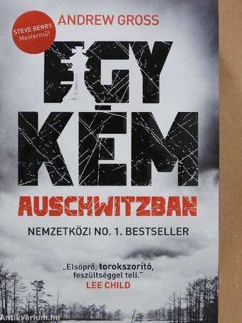 Egy kém Auschwitzban