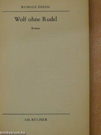 Wolf ohne Rudel