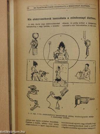 Természettudományi Közlöny 1920. január-december/Pótfüzetek a Természettudományi Közlönyhöz 1920. január-december