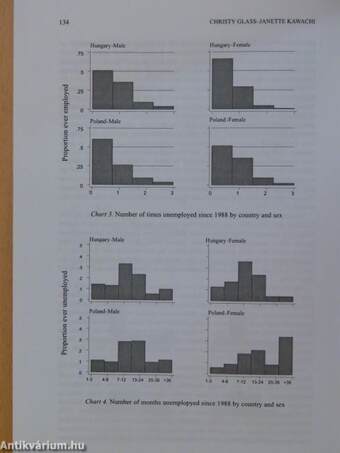 Poverty, ethnicity, and gender in transitional societies