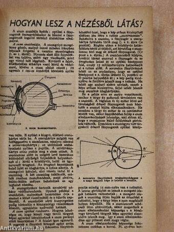 Élet és Tudomány 1948. január-június (fél évfolyam)