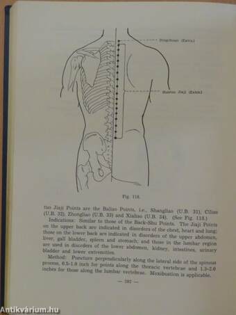 Essentials of Chinese Acupuncture