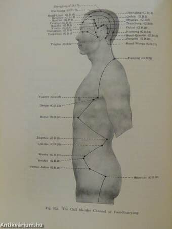 Essentials of Chinese Acupuncture