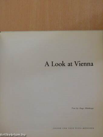 A Look at Vienna