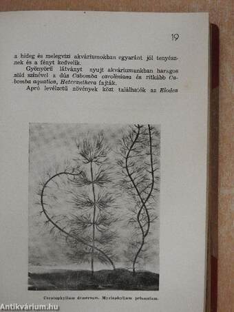 Akvárium ABC/Élet és Tudomány Évkönyve 1948.