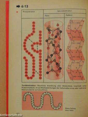 Wissensspeicher Chemie