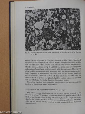 Aging of Connective and Skeletal Tissue (dedikált példány)