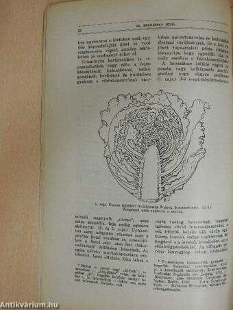 Természettudományi Közlöny 1928. január-december/Pótfüzetek a Természettudományi Közlönyhöz 1928. január-december