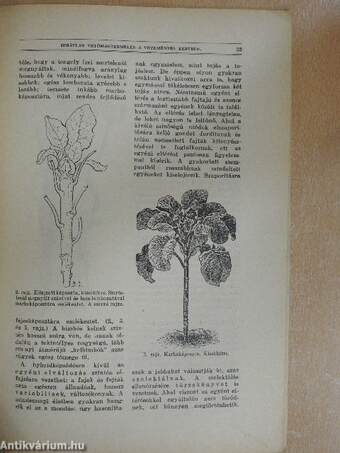 Természettudományi Közlöny 1928. január-december/Pótfüzetek a Természettudományi Közlönyhöz 1928. január-december