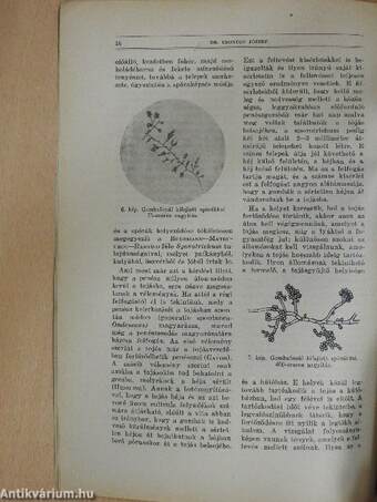 Természettudományi Közlöny 1928. január-december/Pótfüzetek a Természettudományi Közlönyhöz 1928. január-december