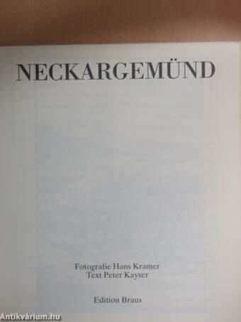 Neckargemünd