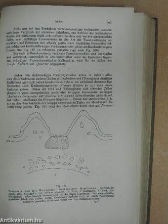 Pathologische Pflanzenanatomie