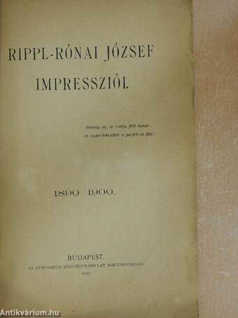 Rippl-Rónai József impressziói