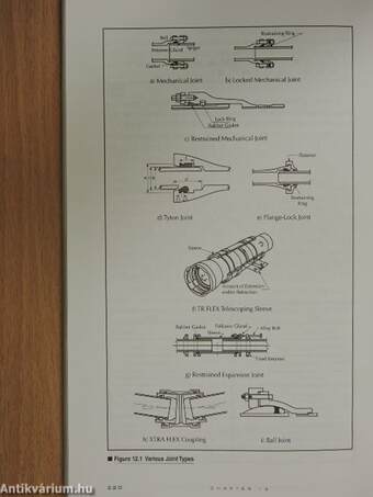 Response of Buried Pipelines Subject to Earthquake Effects