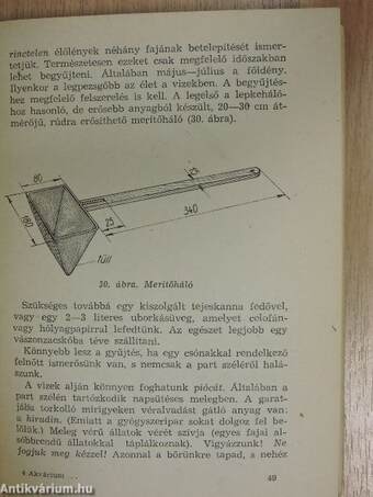 Akvárium, terrárium, szobakert