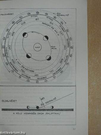 Meteor 1981/9.