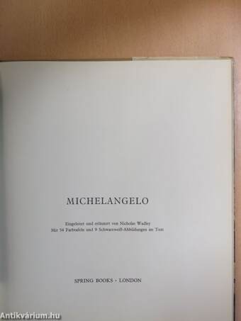 Michelangelo