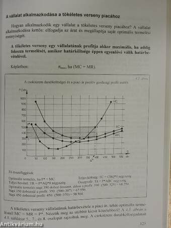 Közgazdaságtan I.