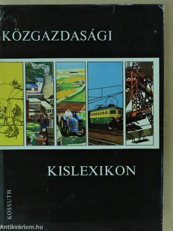 Közgazdasági kislexikon