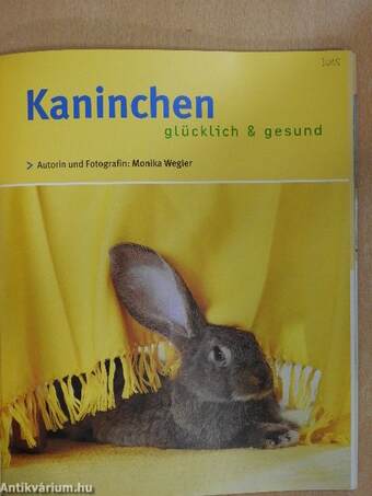 Kaninchen