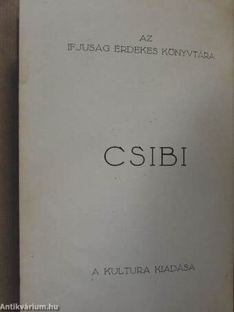 Csibi