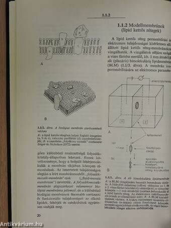 Orvosi élettan 1-2.