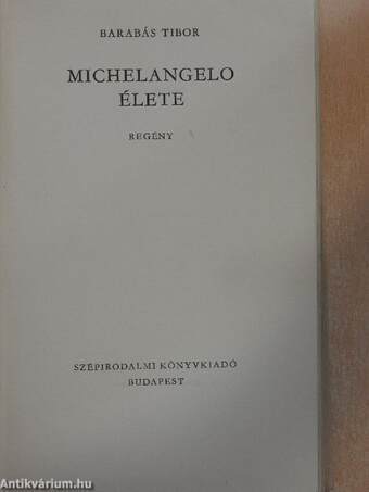 Michelangelo élete