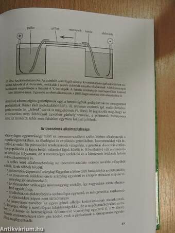 Erdészeti-természetvédelmi genetika