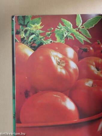 Vegetable Cook Book